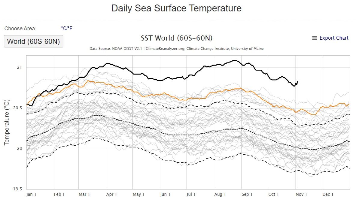 2023 Daily Sea Surface Temperature