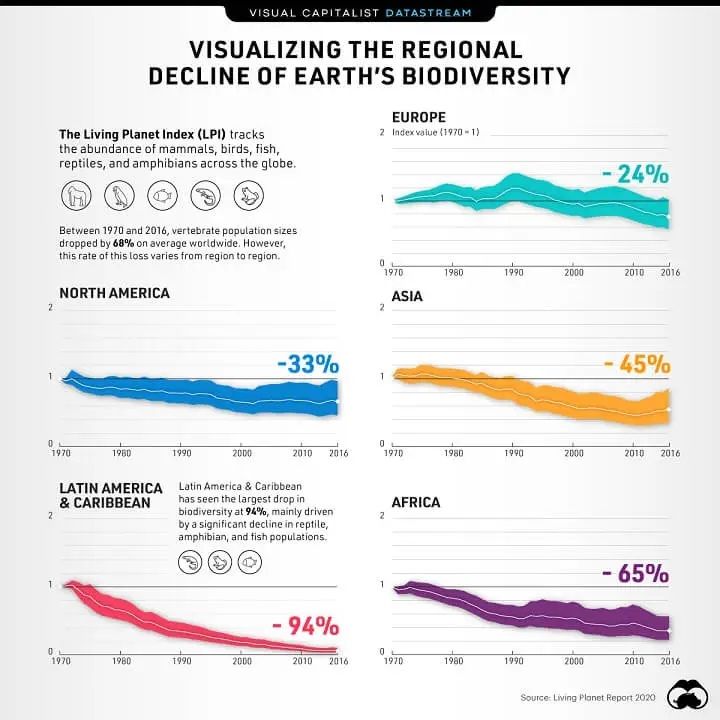 Visualizing the Decline of Earth's Biodiversity