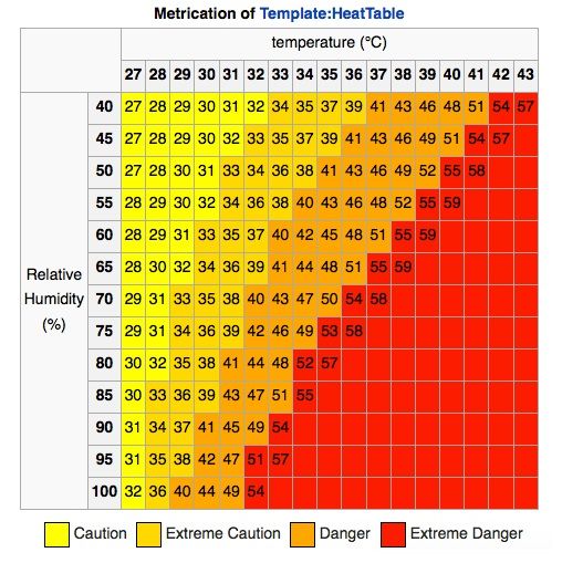 Why Climate Change Will Crush Civilization Like a Bug