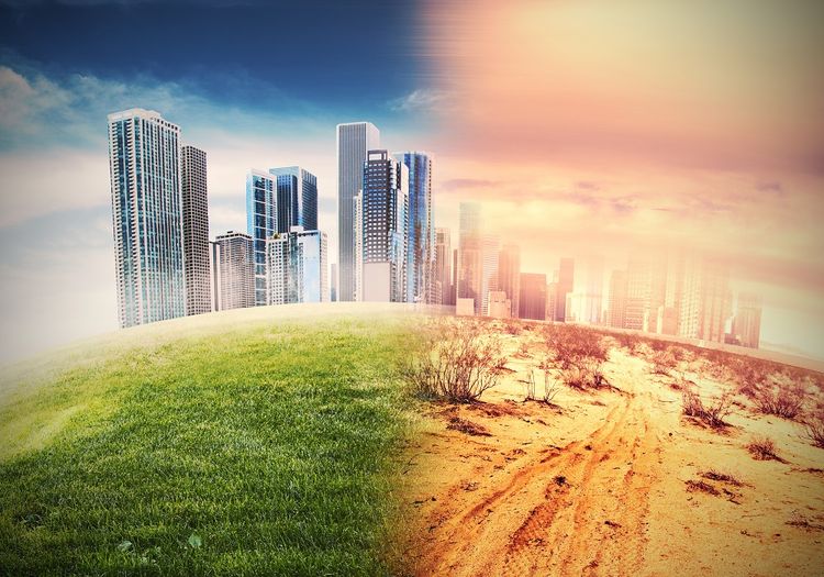 Climate Change Effect On City