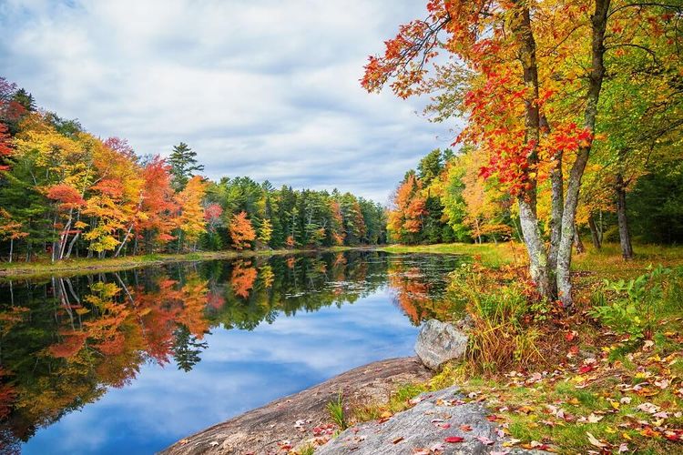 Beautiful Calm Lake in The Fall